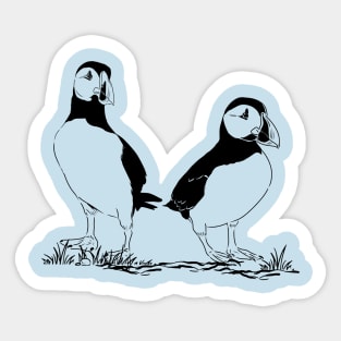 Puffin Sticker